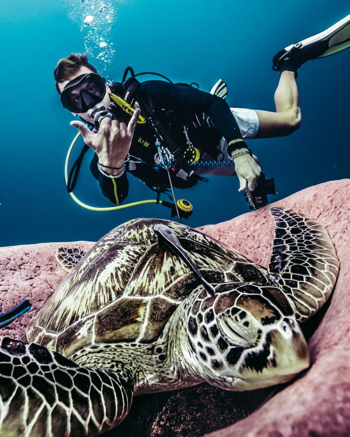 Laut, snorkeling, santai
