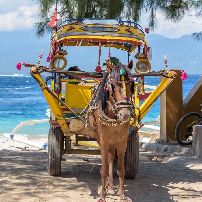 gili t island transport cidomo